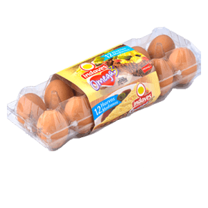 Estuche Huevos Marrones Omega 3 y Vit E x12 un. Varios tamaños